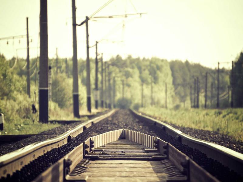 声音捕手<br>ntbhmwh.cn 雨打芭蕉声